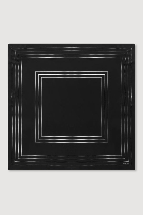 Assembly_Priority_06