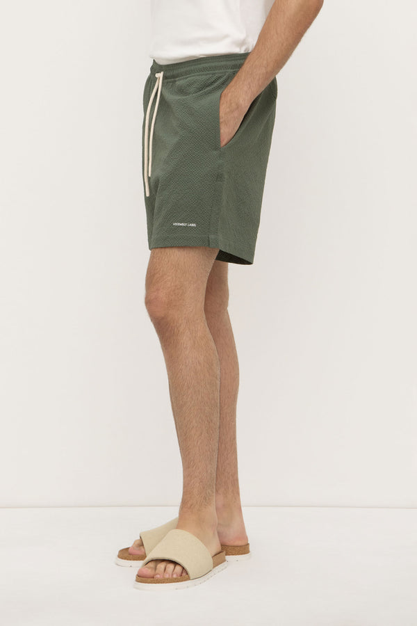 Seth_Swim_Short_Hollow_1883jpeg