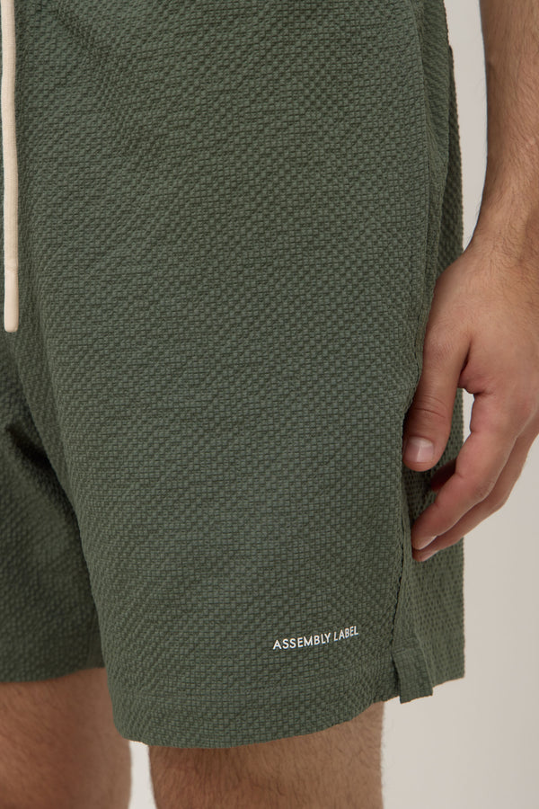 Seth_Swim_Short_Hollow_1890jpeg