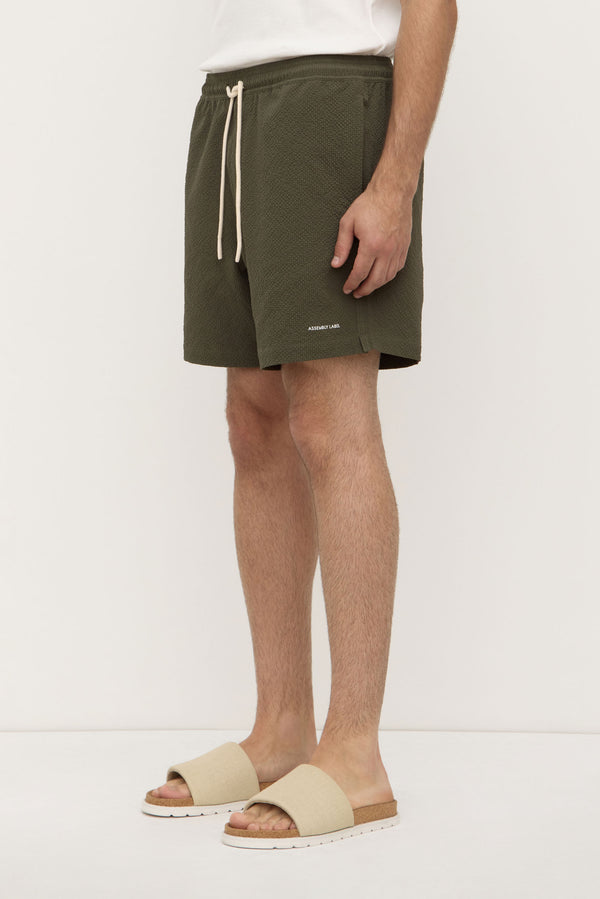 Seth Swim Short