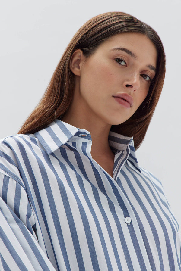 Womens Marie Poplin Shirt Dress Royal Stripe Assembly Label NZ
